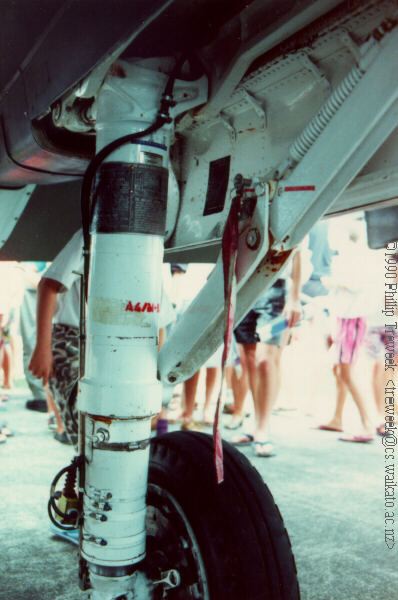 Nose gear looking forward and to starboard..