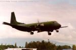 landing Rukuhia - airshow 1993